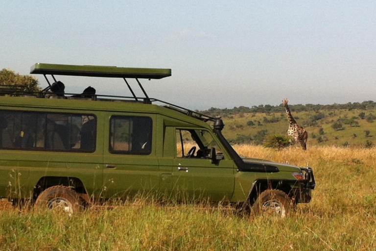 Desde Kigali: Safari de 1 día en el Parque Nacional Akagera