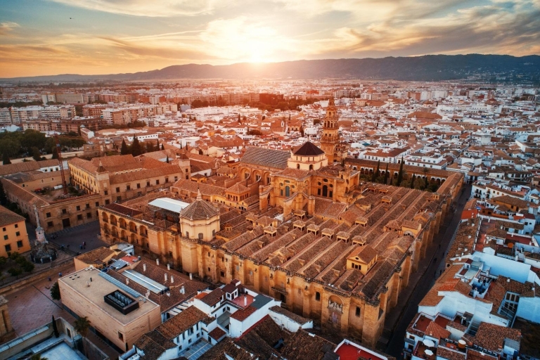 Moskee-kathedraal van Córdoba: rondleiding inclusief ticketsGedeelde tour in het Engels