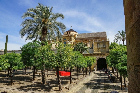 Tour guiado a la mezquita-catedral de Córdoba con ticketsTour compartido en inglés