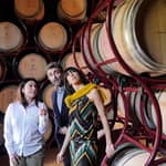 Bolgheri: Tour della cantina con degustazione di vini