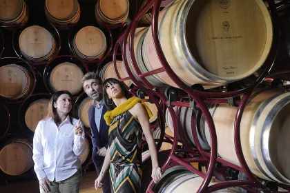 Bolgheri: Kellertour mit Weinverkostung