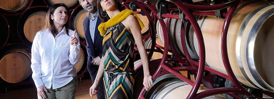 Bolgheri: Tour della cantina con degustazione di vini