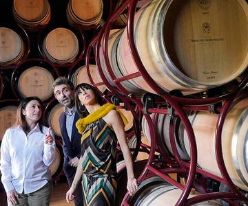Bolgheri: Winery Tour with Wine Tasting