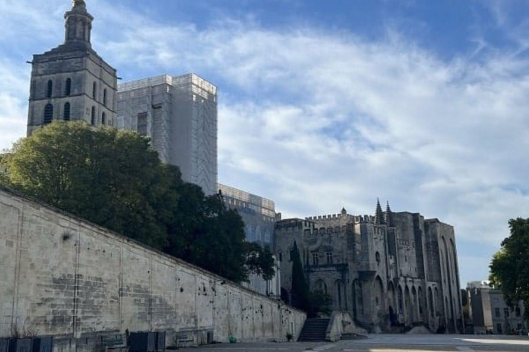 Avignon: Alles over Avignon TourRondleiding in het Frans
