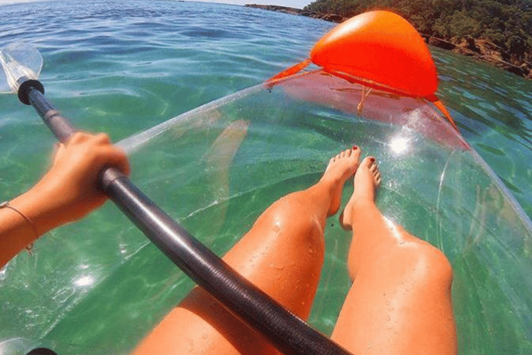 Leigh : Location de kayak transparent de 60 minutes à Goat Island