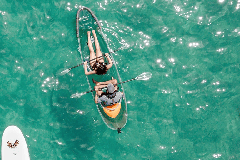 Leigh : Location de kayak transparent de 60 minutes à Goat Island