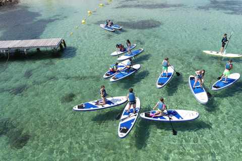 Fornells Bay: 2 uur durende stand-up paddle-excursie