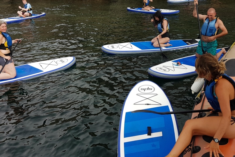 Fornells Bay: 2-Hour Stand-Up Paddle Excursion