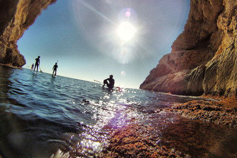 Baie de Fornells : excursion de 2 heures en stand-up paddle