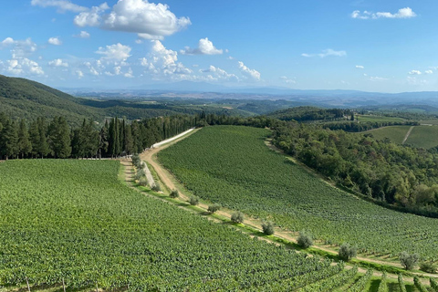 Horseback Riding with Wine Tour from Florence