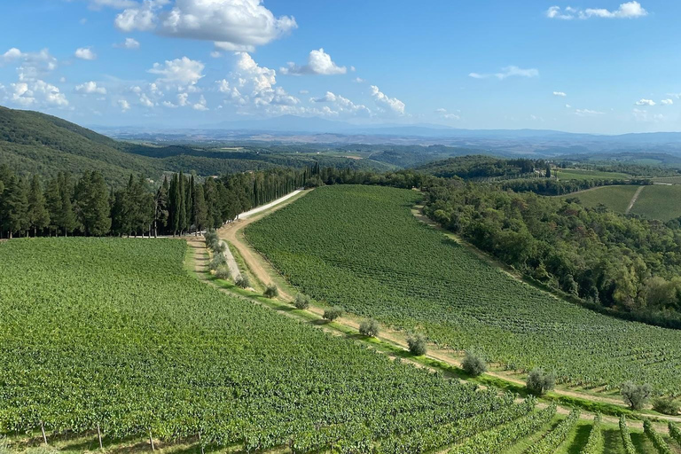 Horseback Riding with Wine Tour from Florence