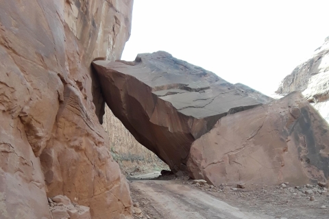 Moab: aventure hors route panoramique en 4x4 de 3 heuresVisite de groupe