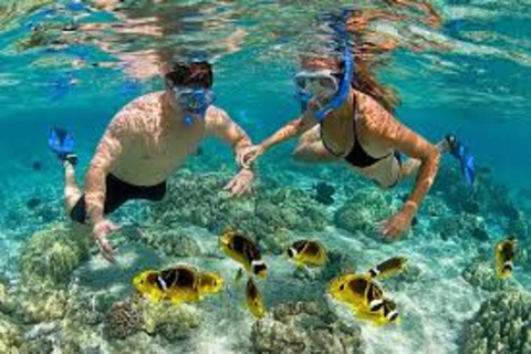 Safari Blue tour: Experiência de snorkeling e banco de areia