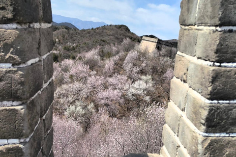 Beijing: Badaling Great Wall VIP Experience with Cable Car Beijing：Badaling Great Wall VIP Experience with Cable Car