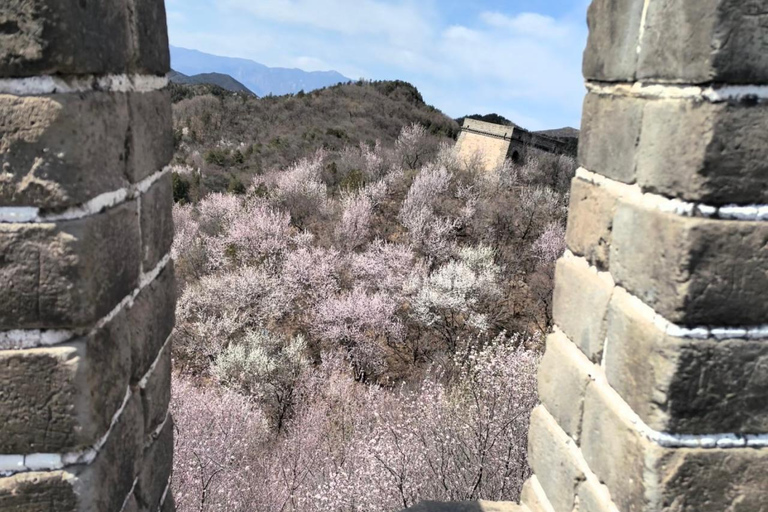 Beijing: Badaling Great Wall VIP Experience with Cable Car Beijing：Badaling Great Wall VIP Experience with Cable Car