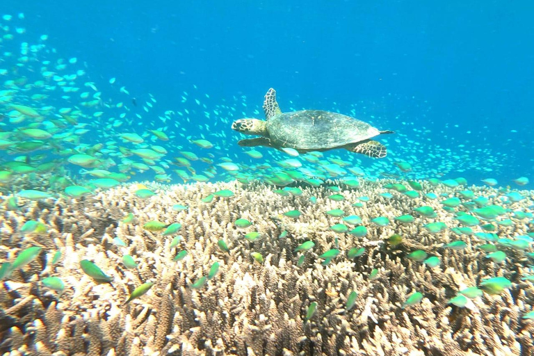 Pusuk Affenwald Lombok, Geistervilla und die drei Gilis