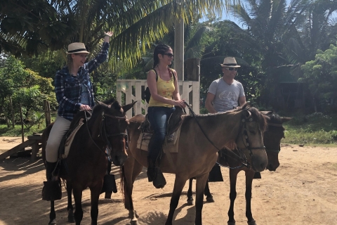 Roatán: Private Horseback Riding Tour Pickup at Cruise Ship Terminal