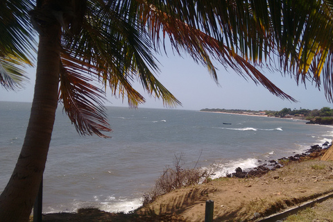 Alter do Chão: Arapiuns River and Urucureá Village Boat Tour