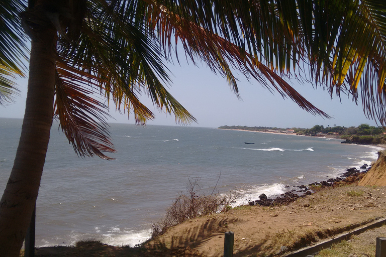Alter do Chão: Arapiuns River and Urucureá Village Boat Tour