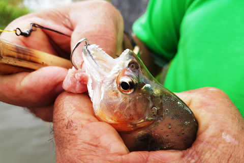 Alter do Chão: Arapiuns River and Urucureá Village Boat Tour