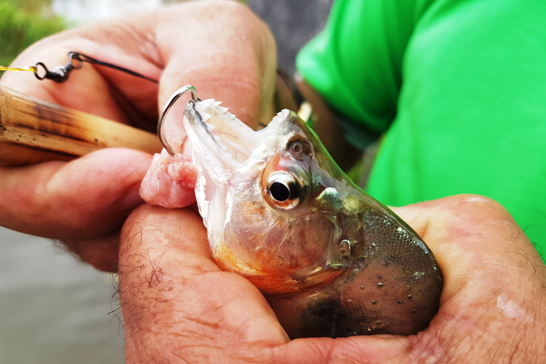 Alter do Chão: Arapiuns River and Urucureá Village Boat Tour