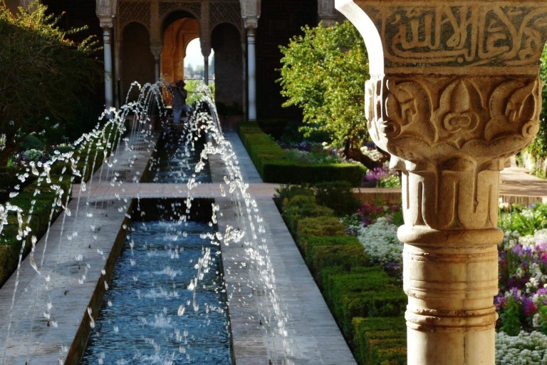 Grenade : Visite guidée accélérée de l'Alhambra et des palais NasridesVisite en petit groupe en italien