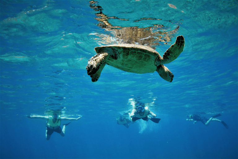 Rincon: Underwater Magic Snorkel Adventure