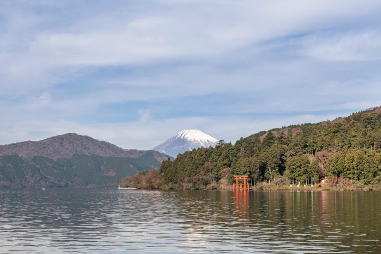 Van Tokio: privé schilderachtige dagtrip naar Hakone