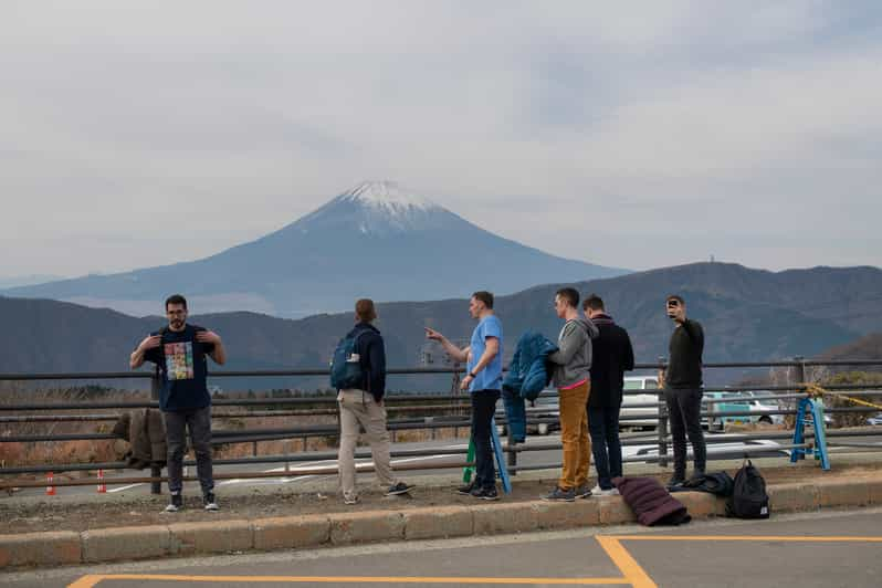 Von Tokio Aus Privater Tagesausflug Nach Hakone Mit Panoramablick