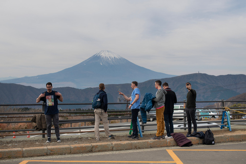 Från Tokyo: Privat naturskön dagsutflykt till HakoneFrån Tokyo: Privat dagsutflykt till Hakone från Tokyo