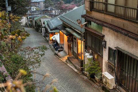 Von Tokio aus: Privater Tagesausflug nach Hakone mit Panoramablick