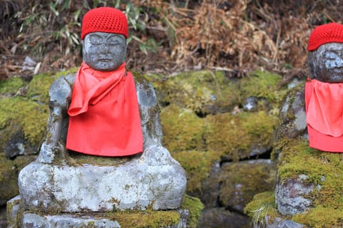 From Tokyo: Private Day Trip to Nikko