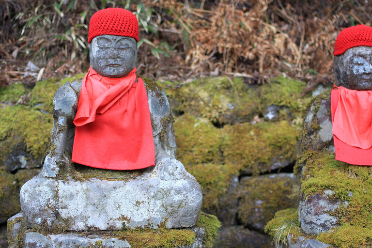 De Tóquio: Viagem particular de um dia a NikkoDe Tóquio: viagem particular de um dia a Nikkō