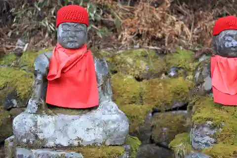 Da Tokyo a Nikko: Esclusiva escursione privata di un giorno