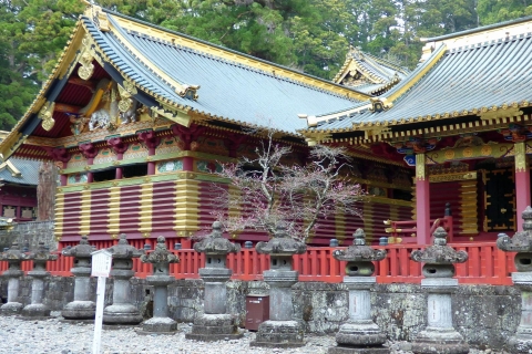 From Tokyo: Private Day Trip to Nikko From Tokyo: Private Day Trip to Nikkō