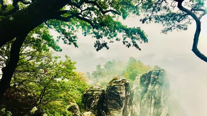 bohemia and saxon switzerland day trip from dresden