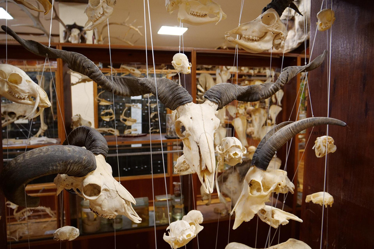 Museum of Zoology Sao Paulo Private Guided Tour & Transport 2-hour: Museum of Zoology Tour