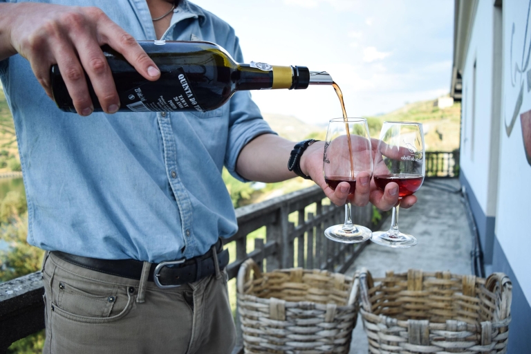 Douro-Tal: Weintour in Quinta do Tedo und VerkostungenQuinta do Tedo Winery Tour und Barrel Port Wine Tasting
