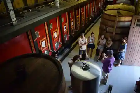 Vale do Douro: Tour Vinícola Quinta do Tedo c/ Degustação