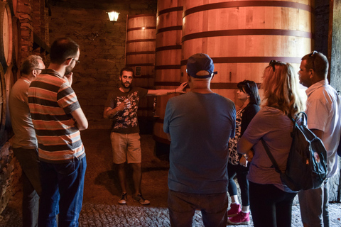 Douro-Tal: Weintour in Quinta do Tedo und VerkostungenQuinta do Tedo Winery Tour und Barrel Port Wine Tasting