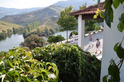 Douro Valley: Winery Tour at Quinta do Tedo and Tastings