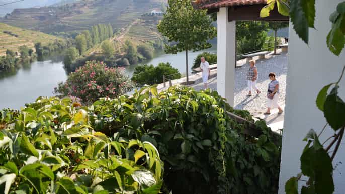 vale do douro tour vinícola na quinta do tedo e degustações