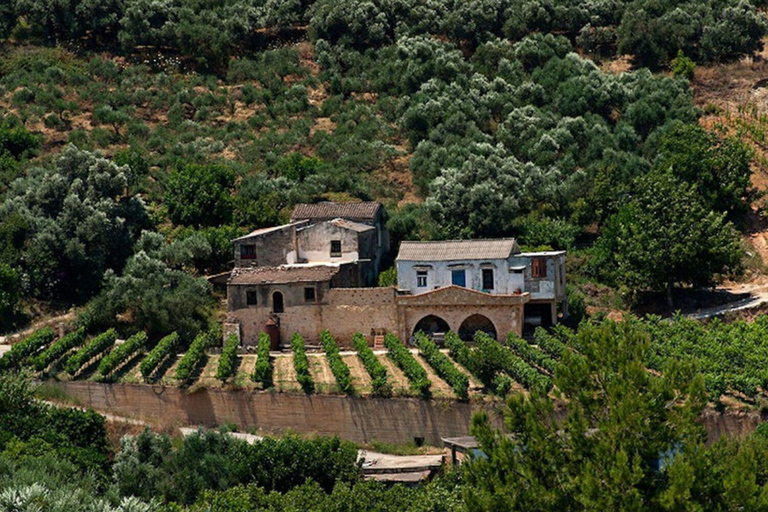 Crete: Wine & Olive Oil Tasting & Historic Villages Tour