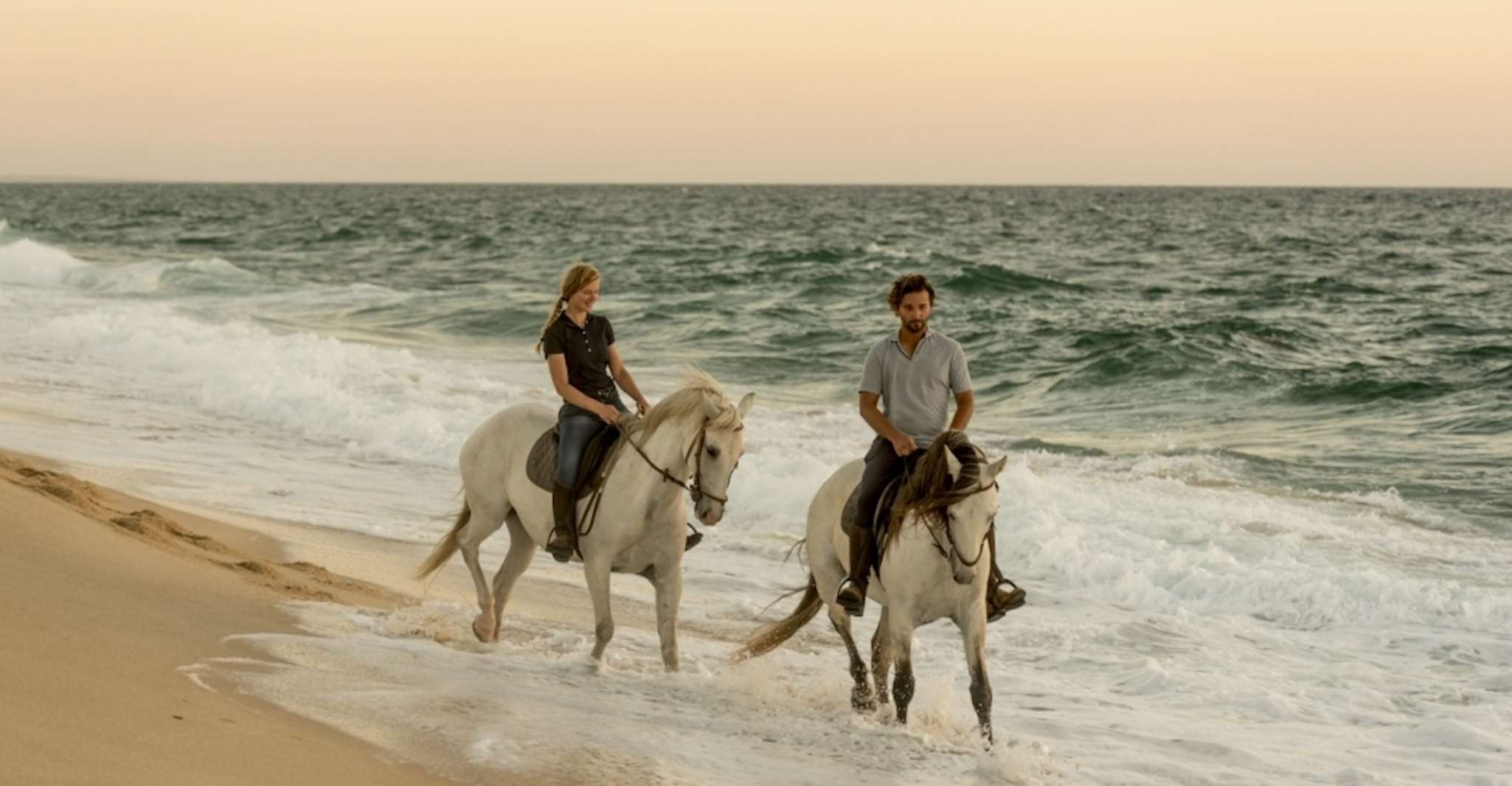 Si fonde, cavalli a cavallo sulla spiaggia con degustazione di vini - Housity