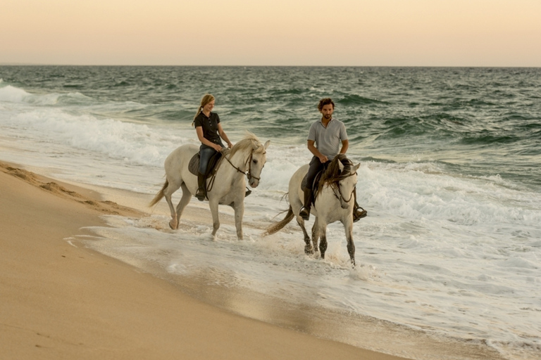 Melides: Horse Riding on the Beach with Wine Tasting Horse Riding with Wine Tasting