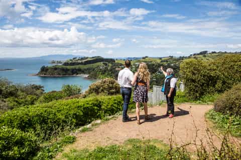 Waiheke Island Premium Food & Wine Tour with Platter Lunch