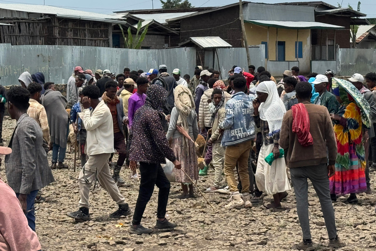 From Addis Ababa: 3-Day Ethiopia Highlights Adventure