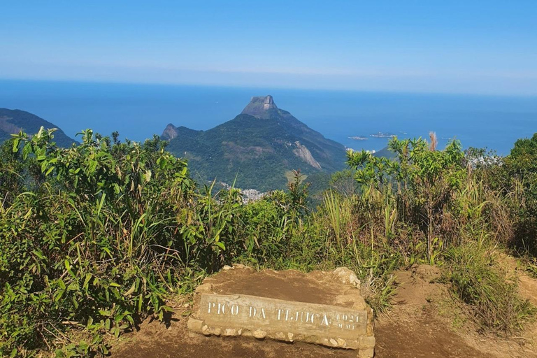 Rio: Christ the Redeemer and Tijuca Forest Tour