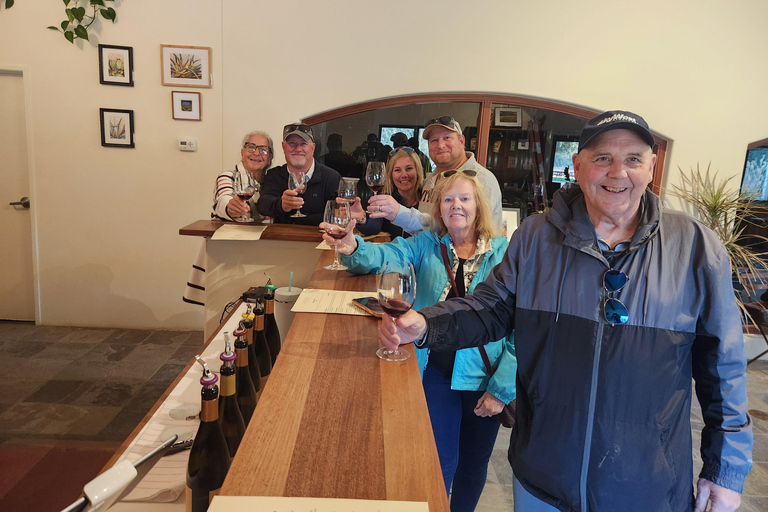 Solvang: Passeios de vinho no Vale de Santa Ynez com almoço e degustações