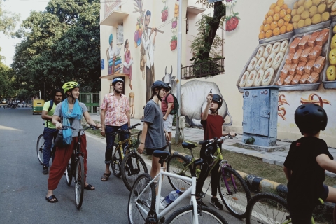 Południowe Delhi: 3,5-godzinna prywatna wycieczka rowerowa z lunchem z kebabem